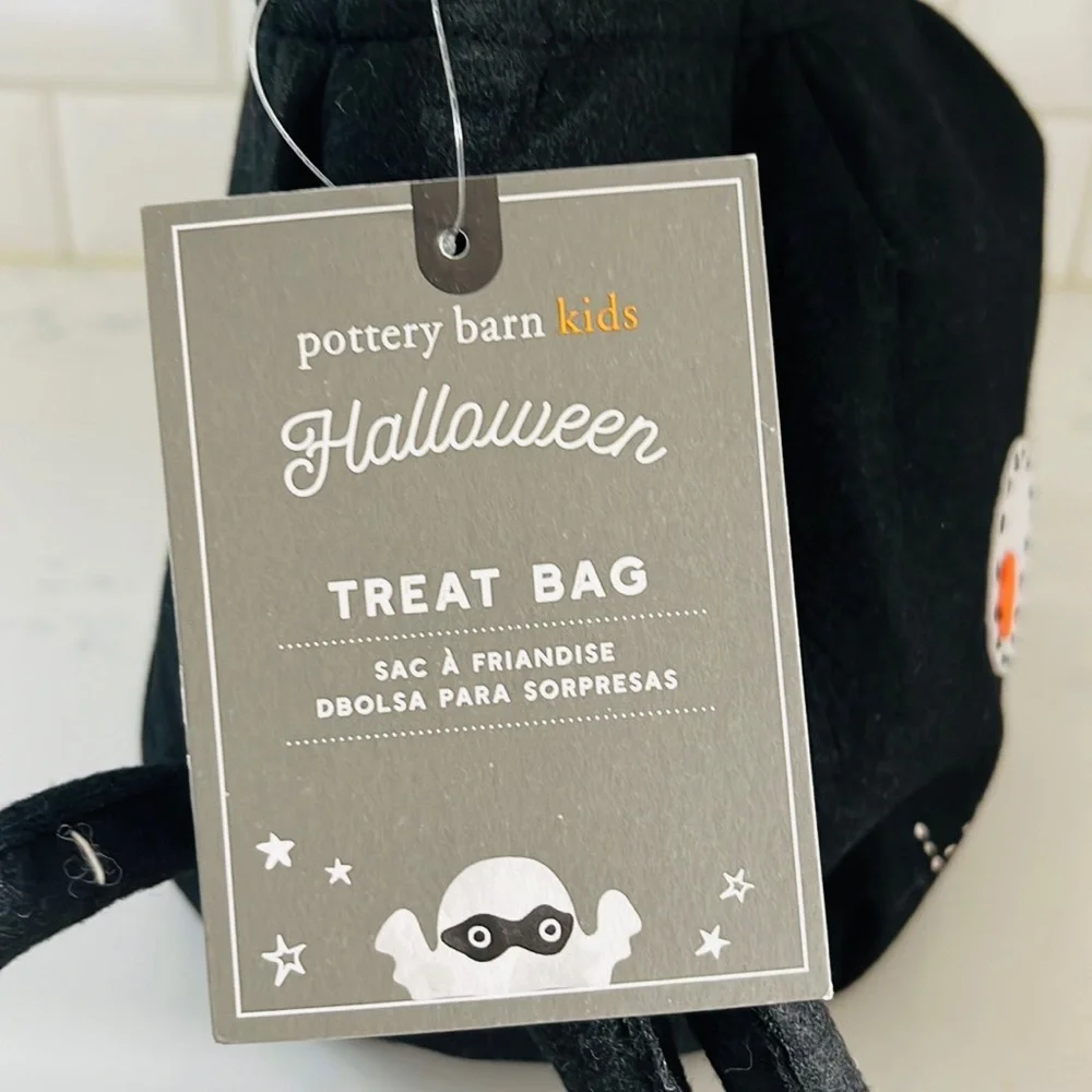Pottery Barn Kids Spider Treat Bag